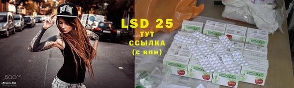 ПСИЛОЦИБИНОВЫЕ ГРИБЫ Бородино