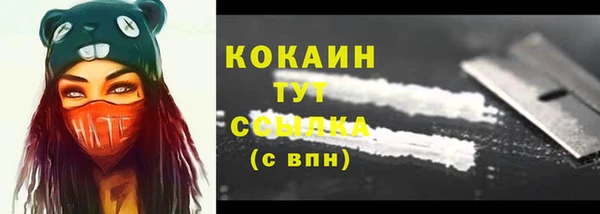 ПСИЛОЦИБИНОВЫЕ ГРИБЫ Бородино