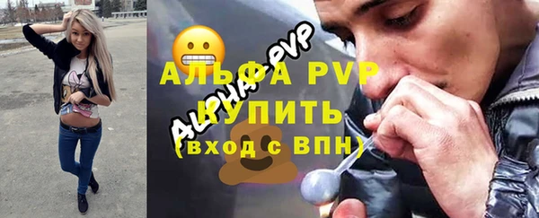 ПСИЛОЦИБИНОВЫЕ ГРИБЫ Бородино