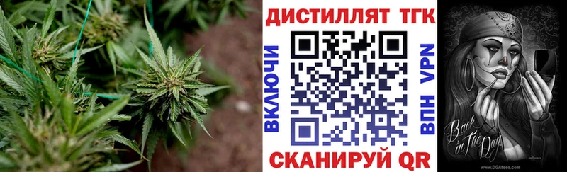 KRAKEN как войти  Дегтярск  Дистиллят ТГК вейп с тгк 